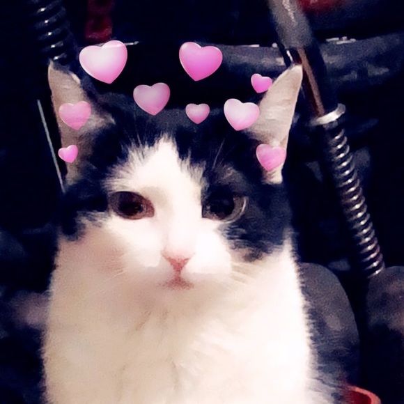 Meet your Posher, Rebecca - Picture 1 of 1